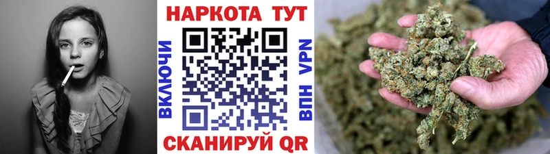 Купить наркотик аптеки Сертолово МАРИХУАНА А ПВП ГАШ Псилоцибиновые грибы Мефедрон АМФ