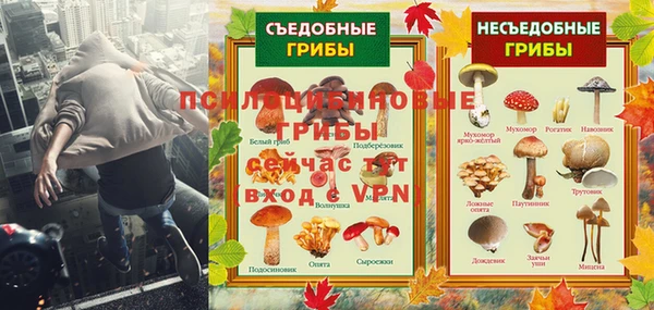 экстази Алексин