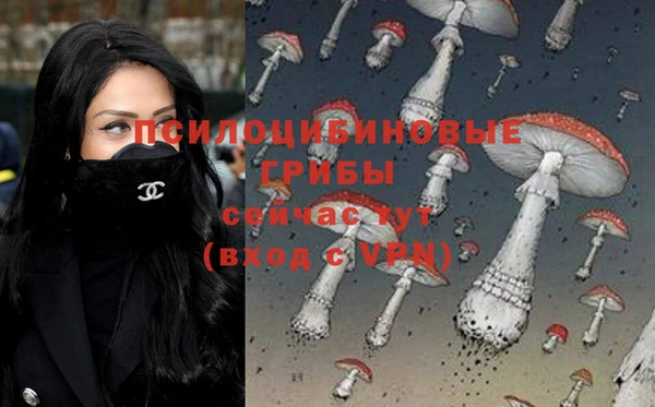 прущие грибы Алексеевка