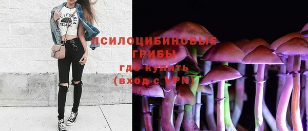 экстази Алексин