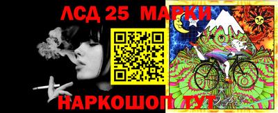 прущие крисы Камышлов