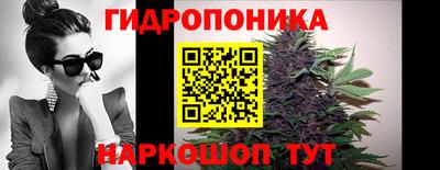 прущие крисы Камышлов