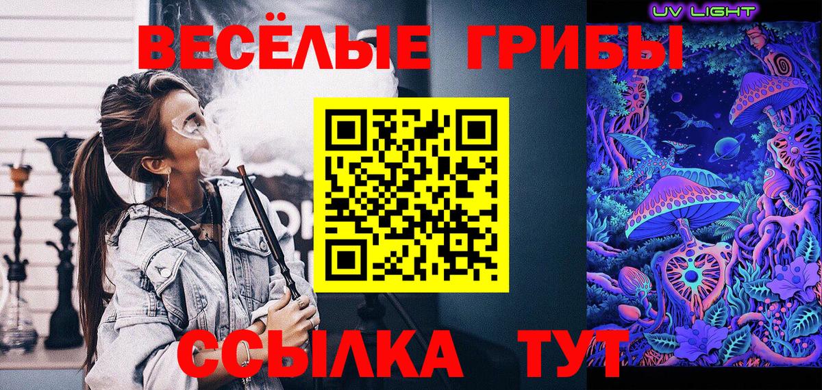 Псилоцибиновые грибы MAGIC MUSHROOMS Сертолово