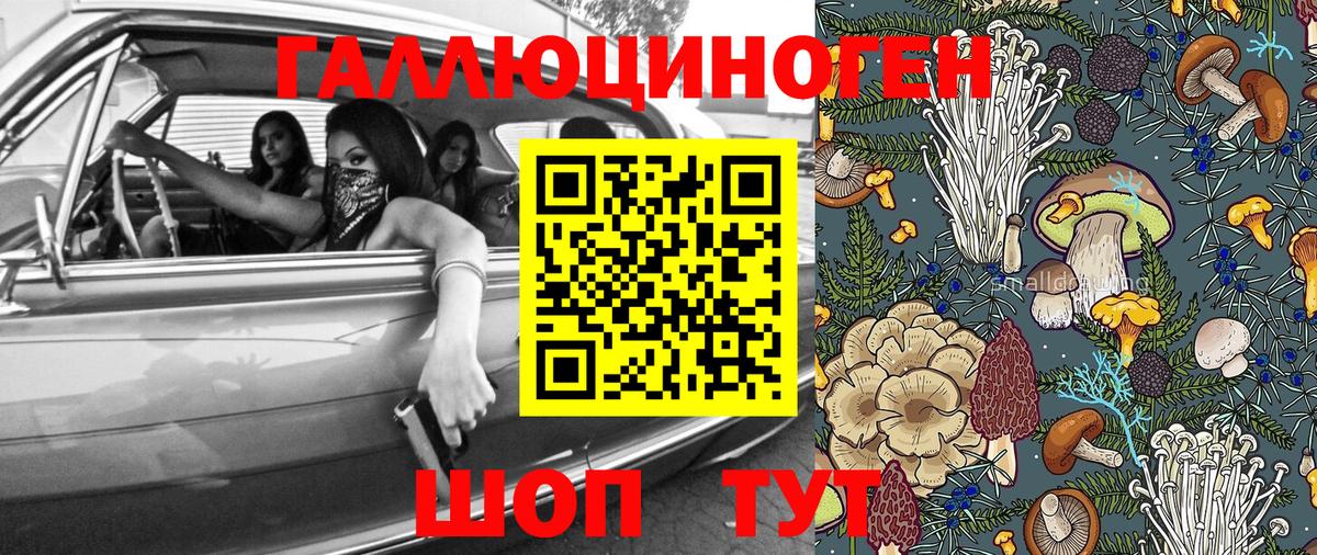 Сертолово  Псилоцибиновые грибы мухоморы  сколько стоит  Вход с VPN 