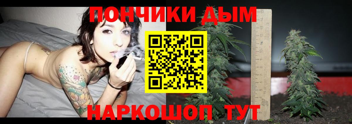Бошки Шишки гибрид  Вход с VPN  Каннабис семена  Сертолово  Канабис план 